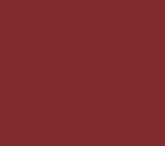 Plusect 0,5 RAL 3011