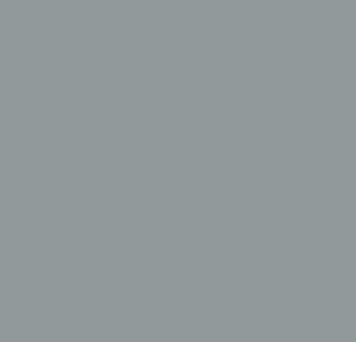 Plusect 0,5 RAL 7004