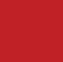 Polyester RAL 3020