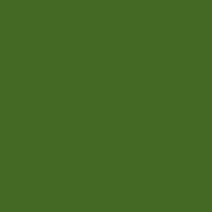 Polyester RAL 6002