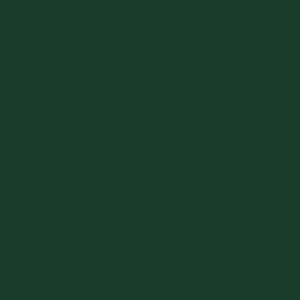 Polyester RAL 6005