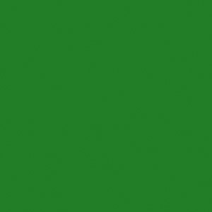 Polyester RAL 6029