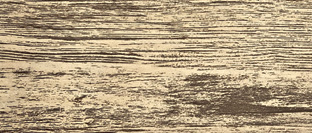 Принты РФ Russian larch